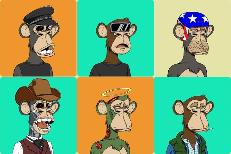 bored ape
