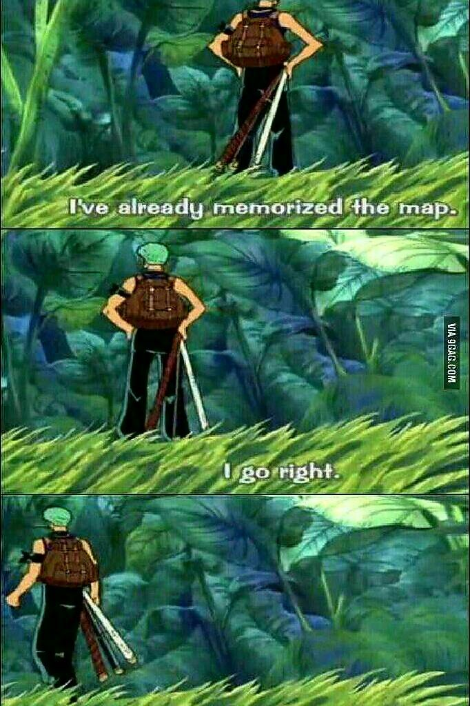 Zoro's amazing sense of direction