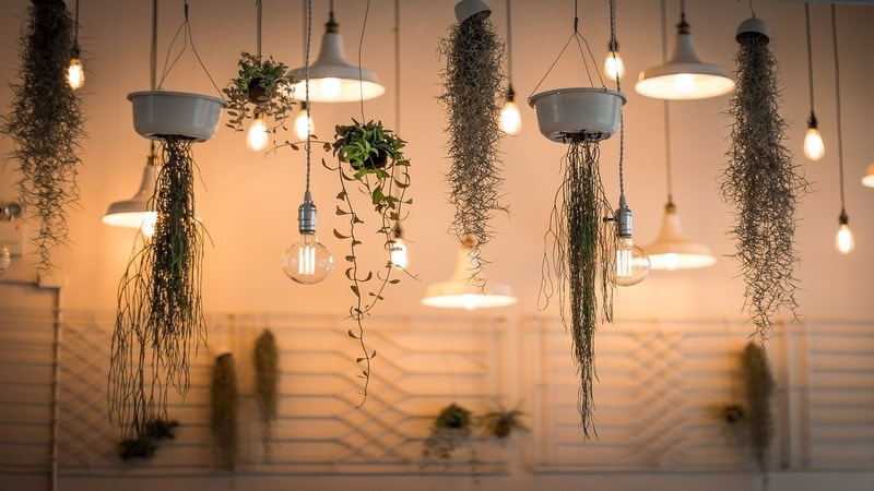 Hanging light bulbs in a modern indoor setting