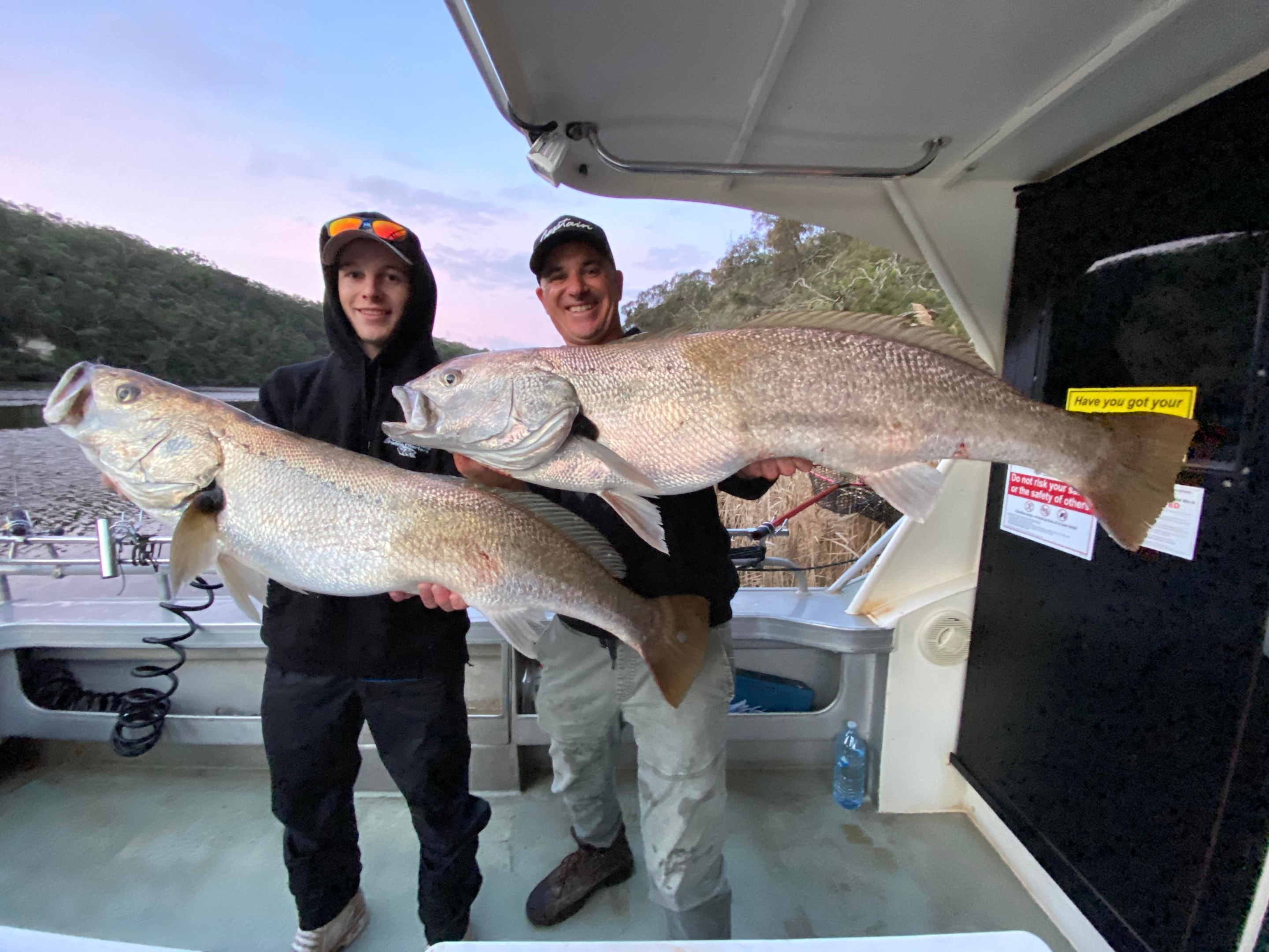 Mulloway from the reed beds on the Glenelg River, if you want rainbow trout visit nearby Rocklands Reservoir