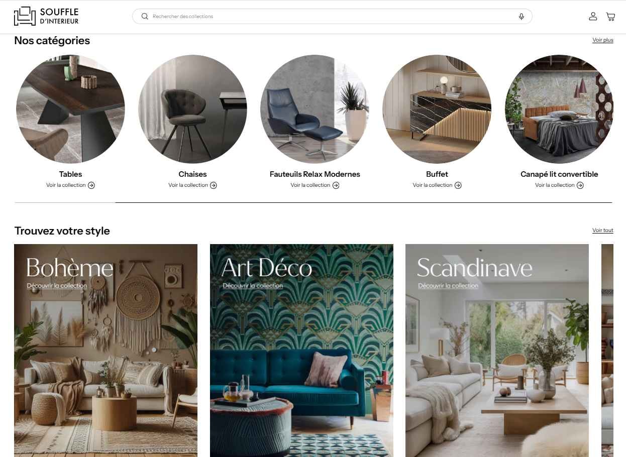 E-commerce site with intuitive navigation, categorized products, and style filters for a seamless user experience, created by Rhillane Marketing Agency