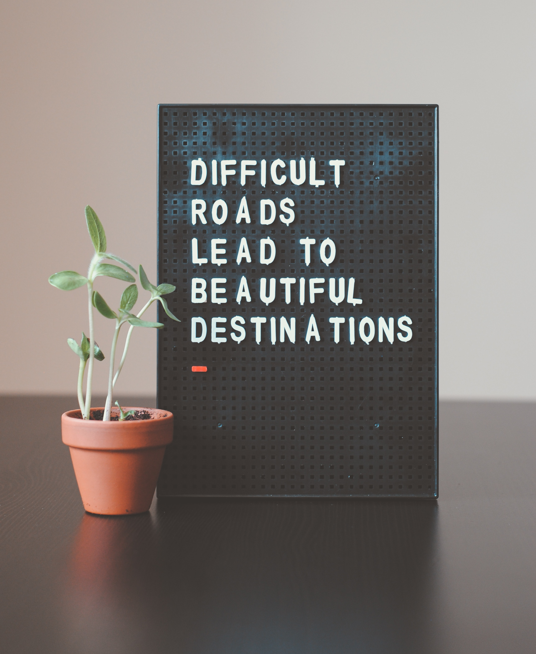psychedelic therapy psychedelic retreats positive affirmation with plant beside it