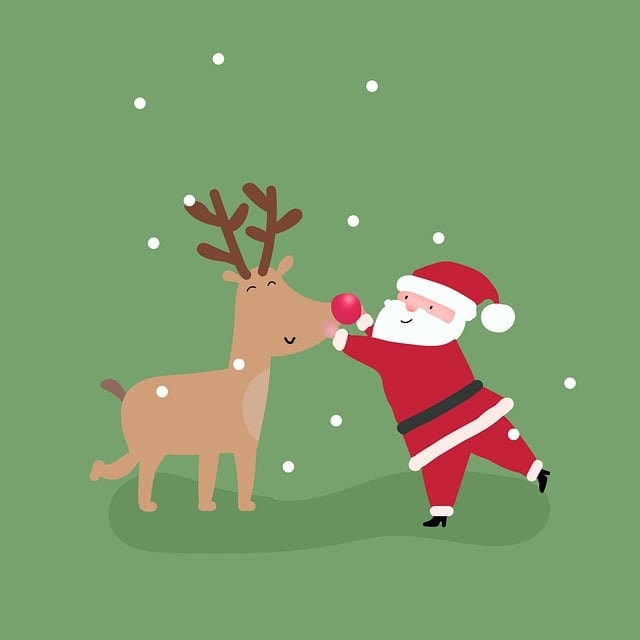 christmas, santa claus, reindeer