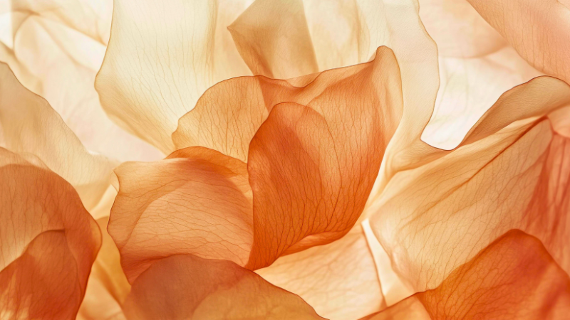 A close-up image of organge sheer fabric