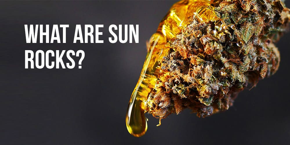 Cannabis Flower Sunrocks are plant matter with a distillate coating