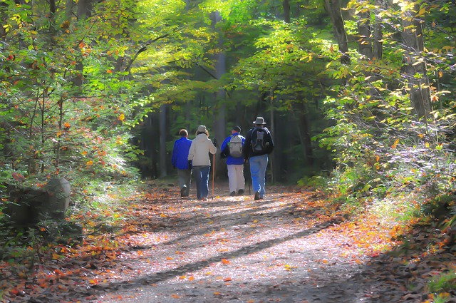 hiking, trail, smoky mountains