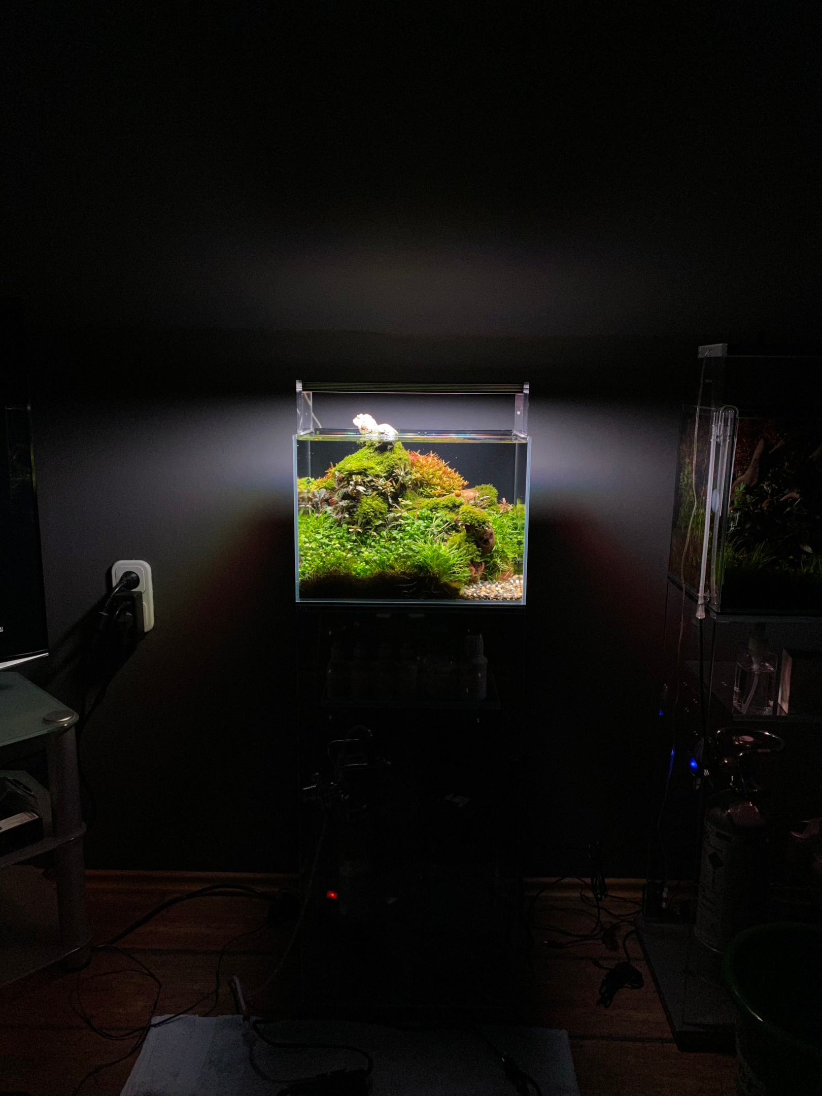 a fish tank in a dark room