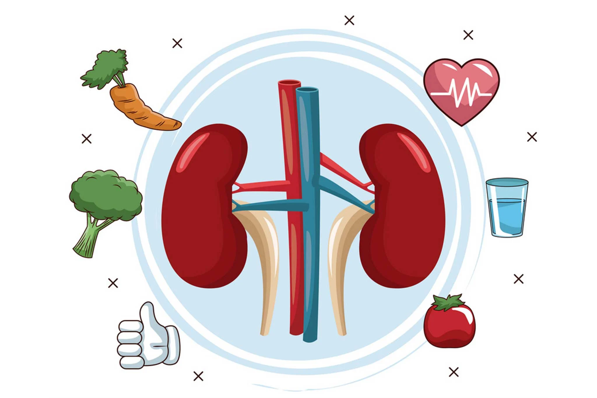 Nutritional Guidance for Transplant Patients