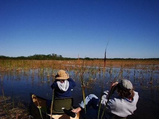 Bird-Watching Trails In The Everglades