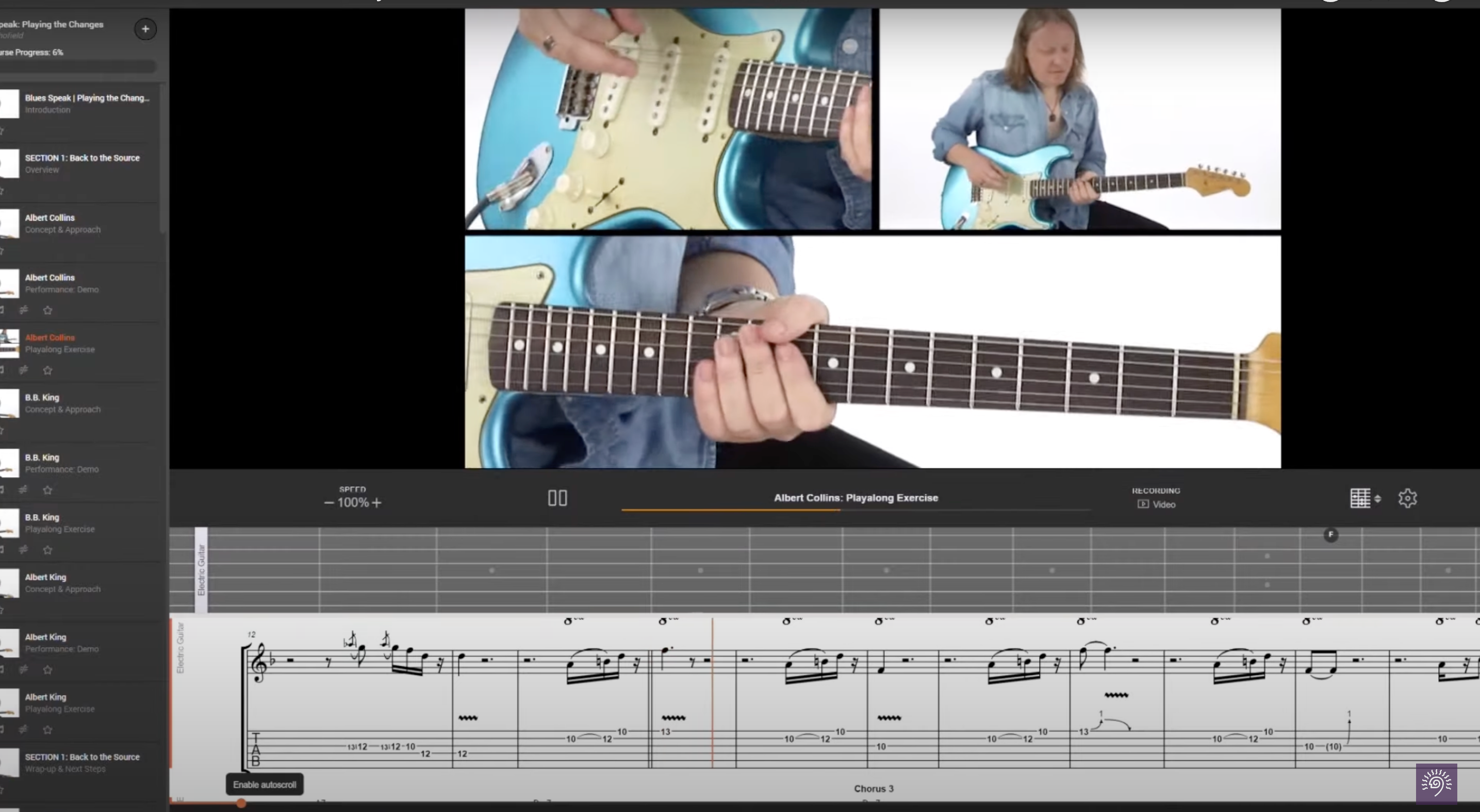 A screenshot from one of Truefire's online courses.