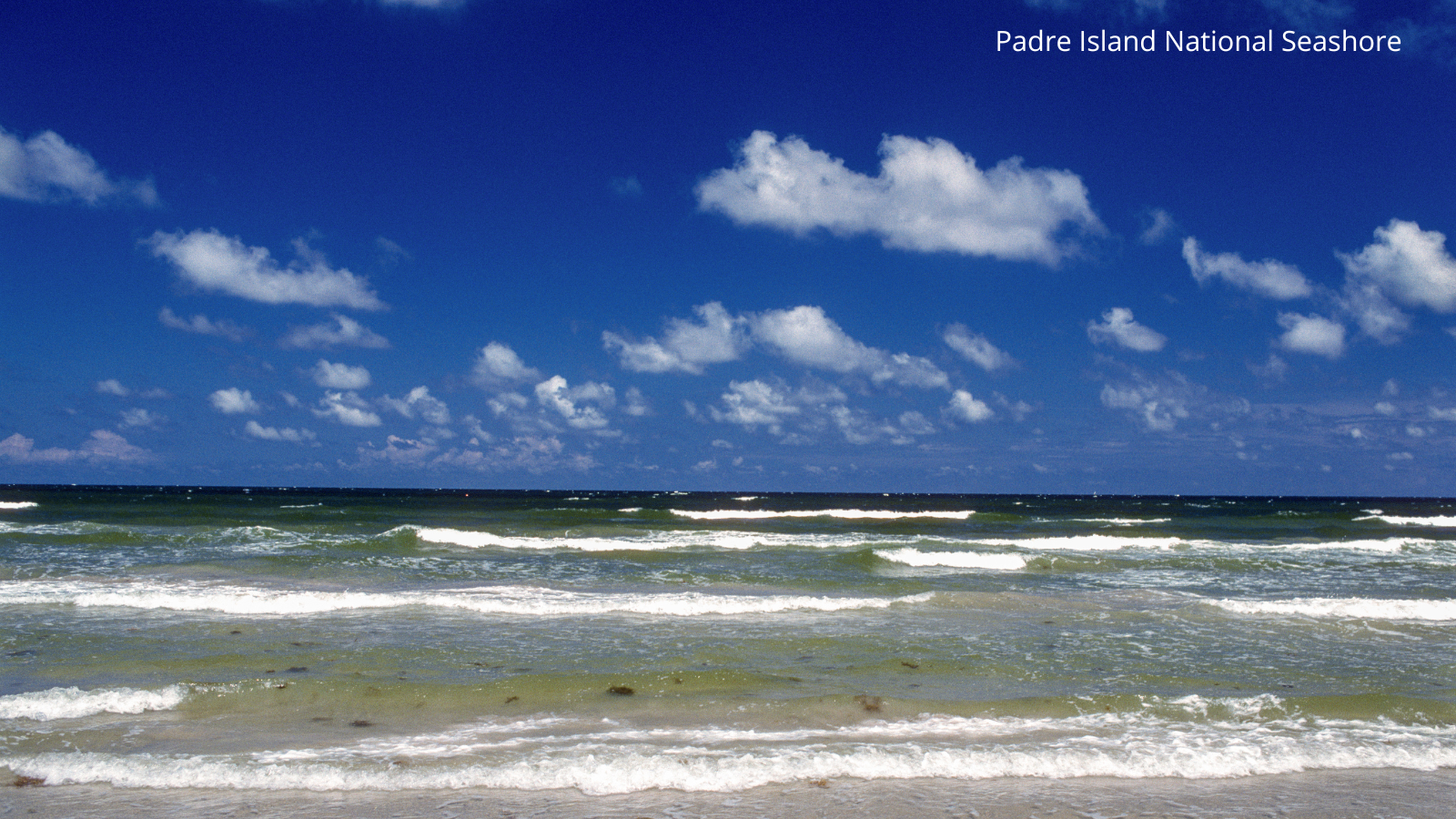 Padre Island National Seashore