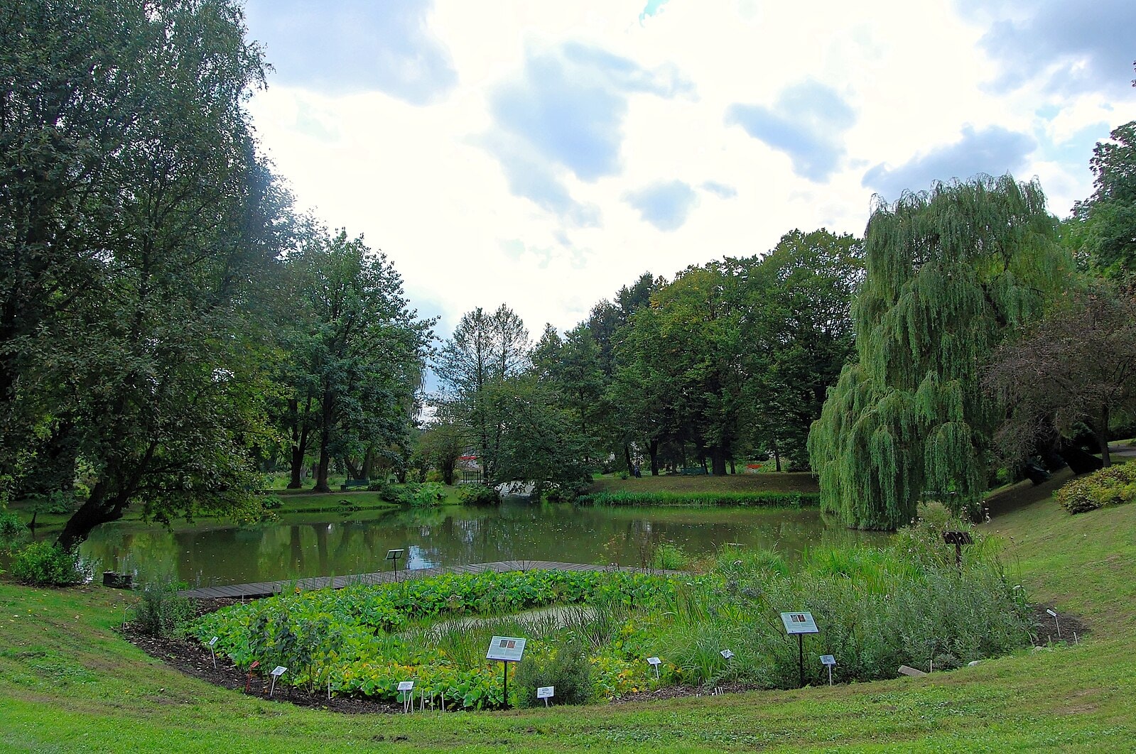 Warto zobaczyć w Lublinie także ogród botaniczny, który zachwyca pięknem i bogactwem przyrody. Źródlo: https://commons.wikimedia.org/wiki/File:Ogr%C3%B3d_Botaniczny_UMCS_w_Lublinie_%28SZ-2014-08-23%29_02.jpg