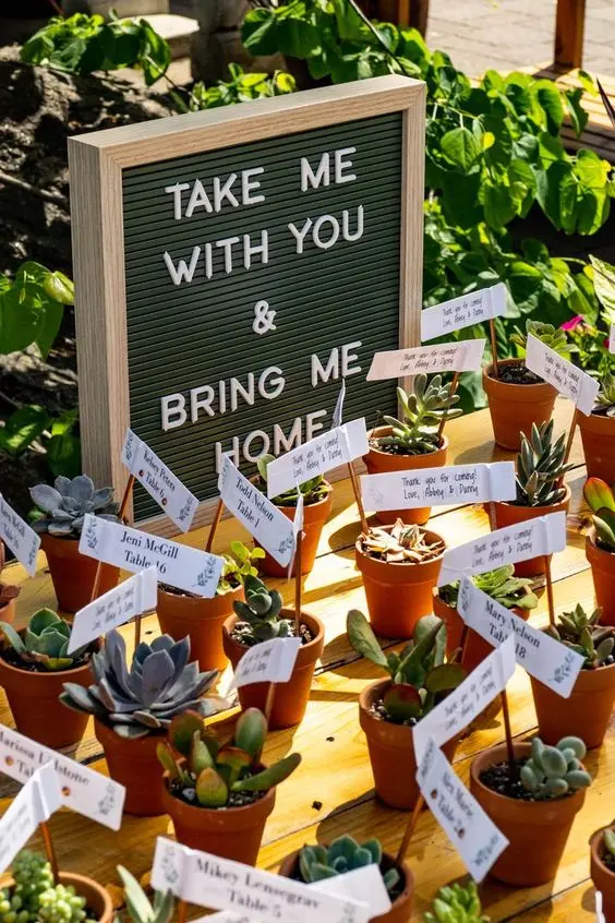 Eko-świadome upominki weselne: Stolik z doniczkami zawierającymi rośliny sukulentowe. Tabliczka z napisem 'Take me with you & bring me home' zachęca gości do zabrania rośliny jako pamiątki z wesela. Wokół doniczek przymocowane są karteczki z imionami gości weselnych i podziękowaniami za uczestnictwo w uroczystości ślubnej.