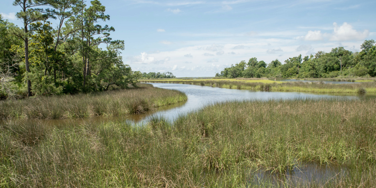 Wolf River Wildlife Management Area