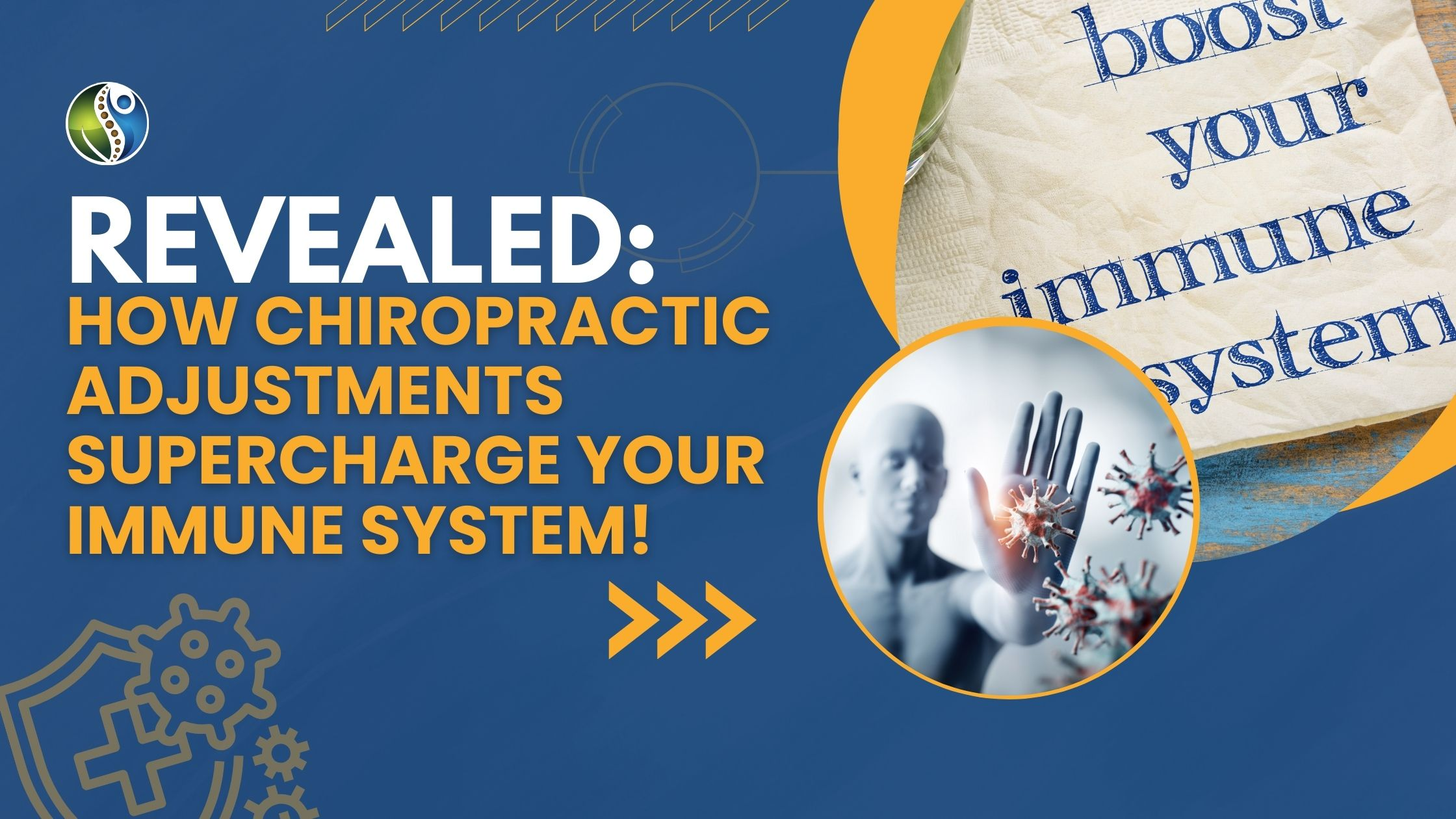 banner image for factors to strengthen immunity by chiropractors