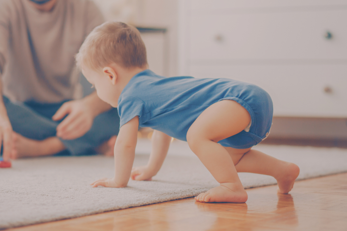 A baby trying to stand up