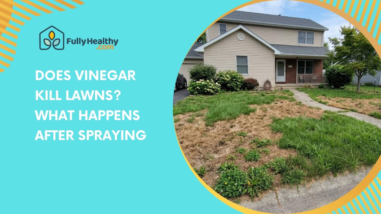 Does Vinegar Kill Lawns? What Happens After Spraying