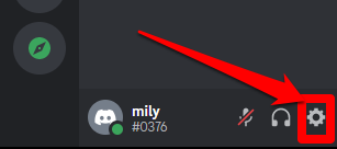 User settings icon on Discord