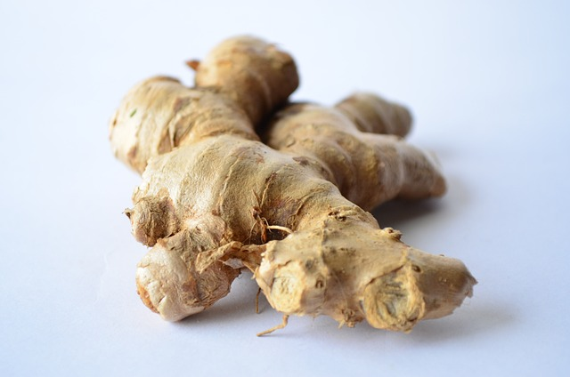 Hydroponic Ginger Growing