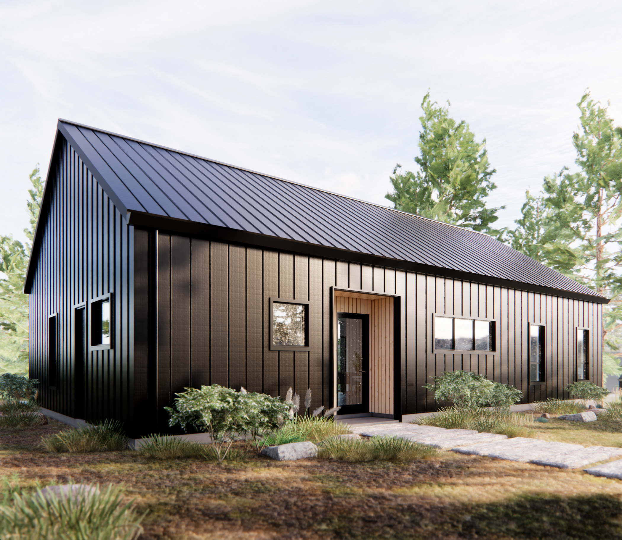 Metal and steel siding sustainable home- Design with FRANK