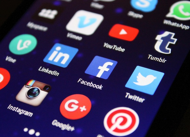 come indicizzare un sito wordpress, social network, instagram, linkedin, facebook, twitter