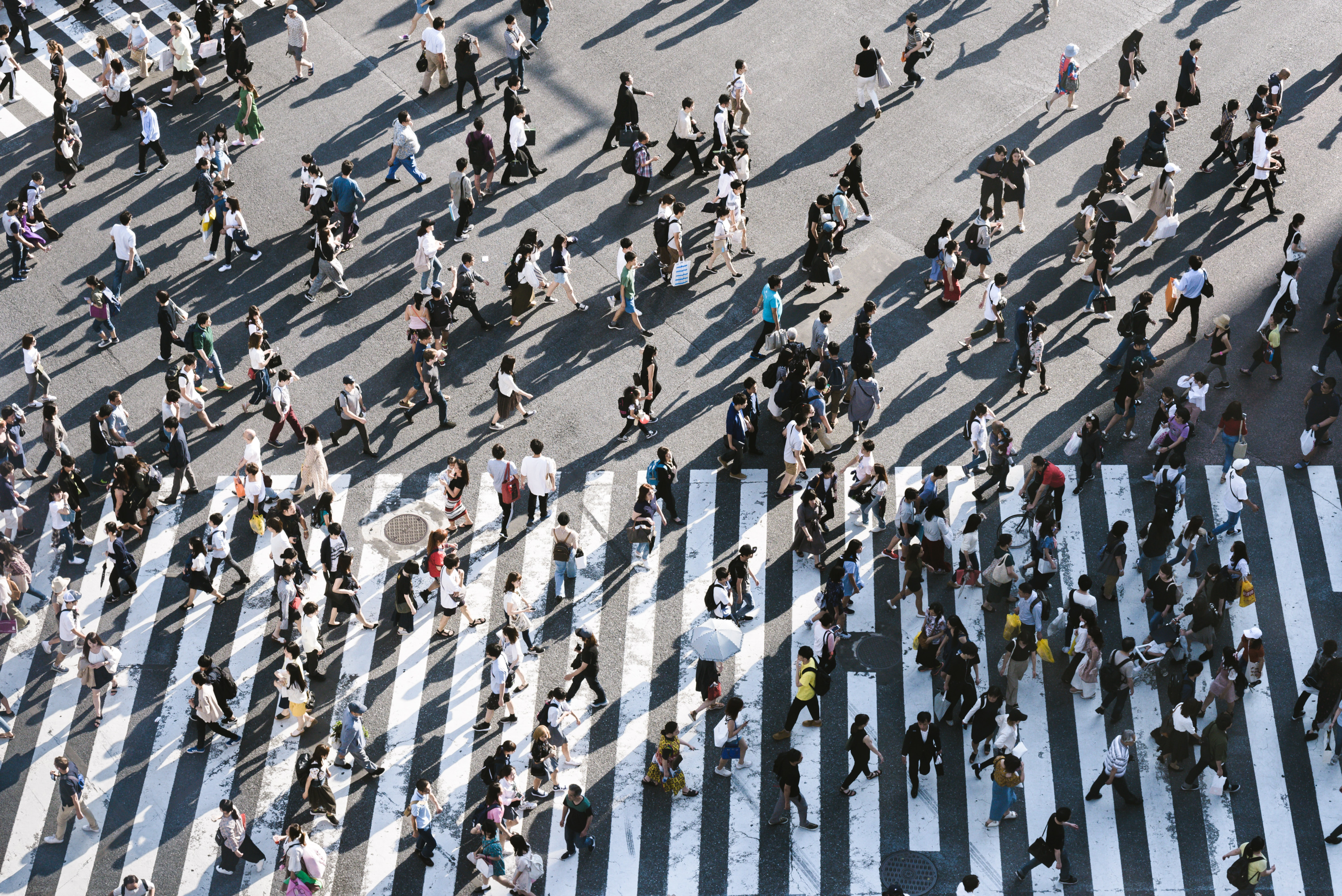 Overhead shot of many pedestrians walking on a zebra crossing