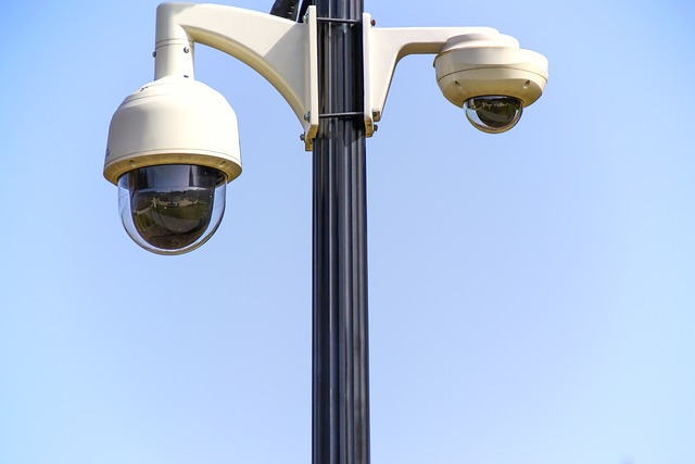rotary cameras, monitoring, security