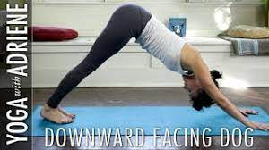 Downward Dog - Downward Facing Dog Yoga Pose - YouTube