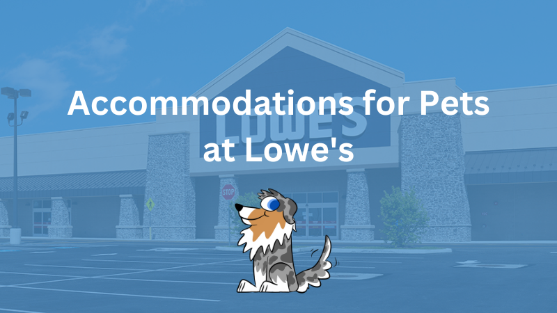 Accommodations for Pets at Lowe's