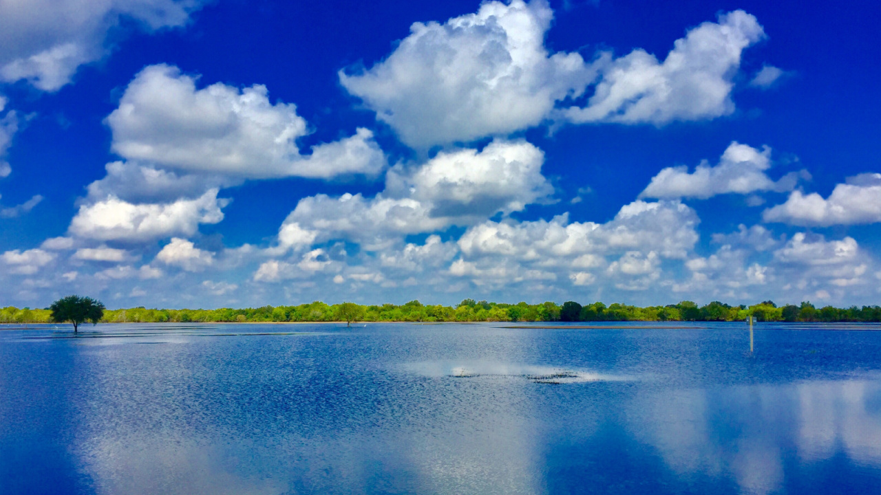 What to Wear in Florida in December Our Guide for 2024