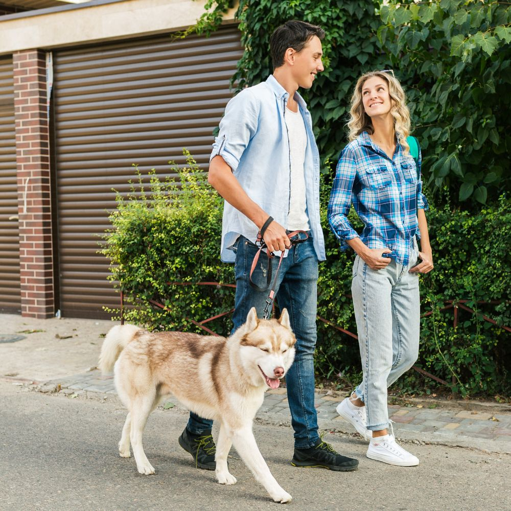 What are the benefits of using a smart door compared to traditional dog doors?