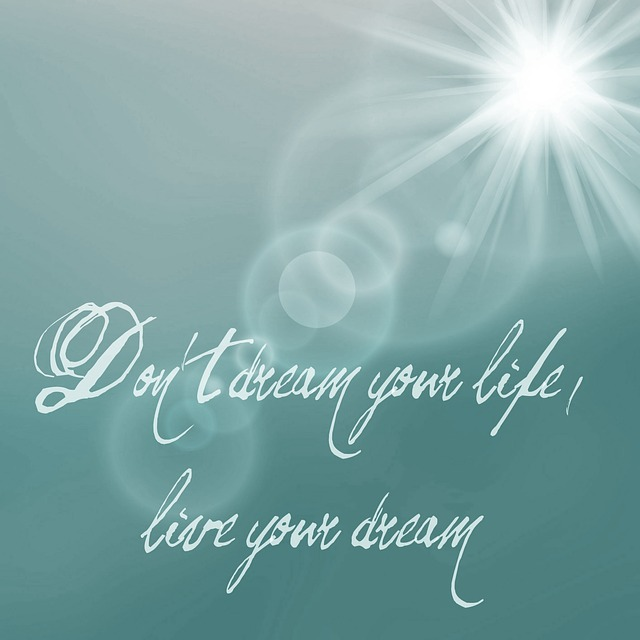 do not dream your life, live your dream, wisdom