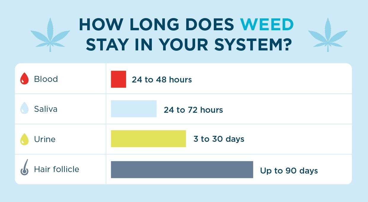 Chart showing How Long Weed Stays in Your System!