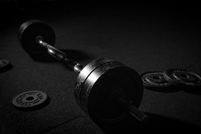 dumbbell, recovery, weights, training, strength