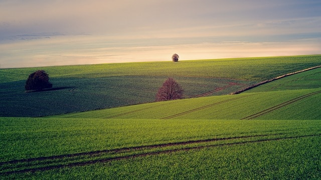 land, outdoors, meadow land of trust