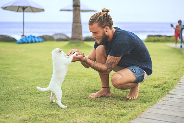 Man Squatting Holding Two Paws Of White Puppy