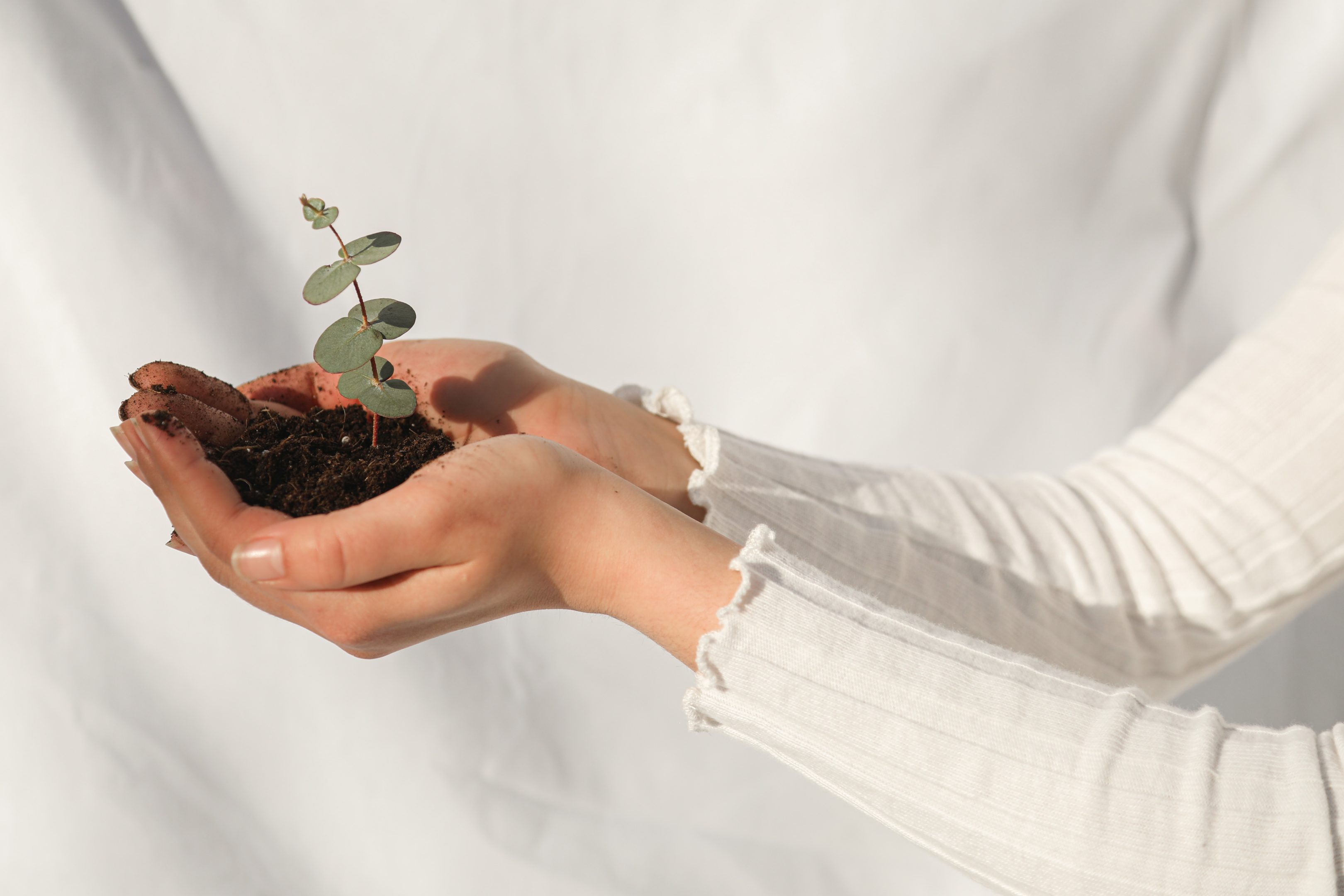 https://www.pexels.com/photo/a-woman-holding-a-plant-with-soil-6963524/