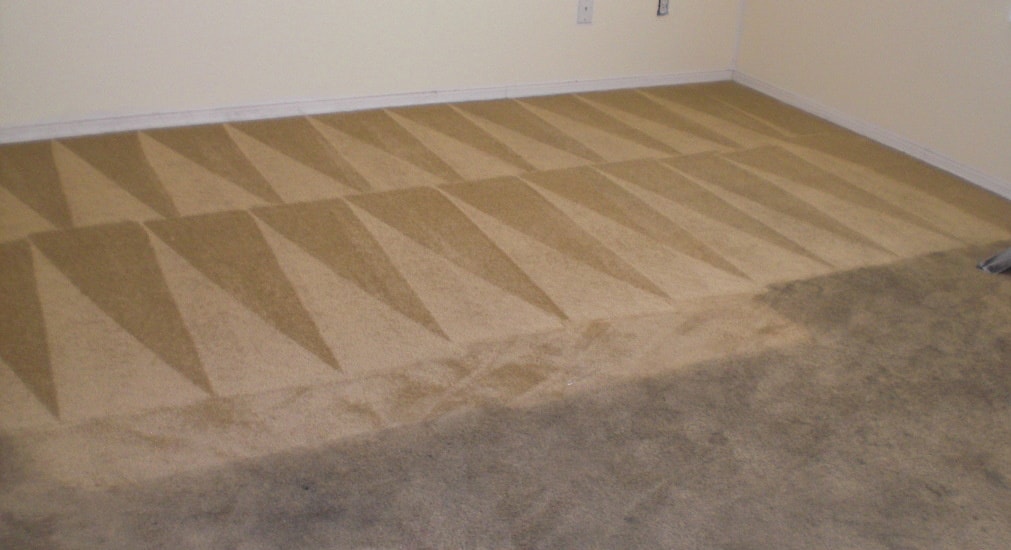 Best Rug Cleaners Alexandria Virginia