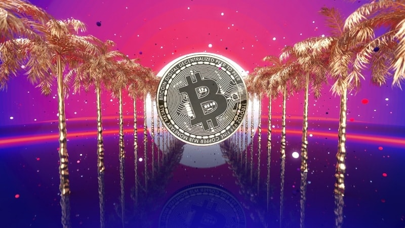 An illustration of a row of palm trees with a Bitcoin logo