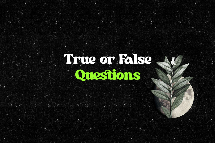 true and false questions