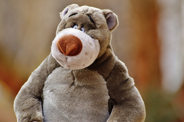 bear, stuffed animal, disney