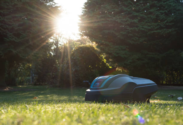 Types of Robotic Lawn Mowers 