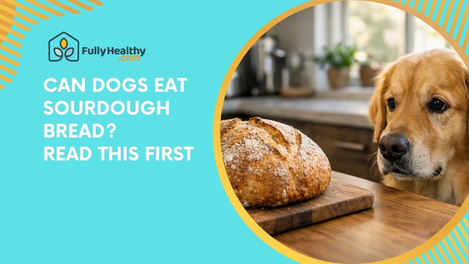 Can Dogs Eat Sourdough Bread? Read This First
