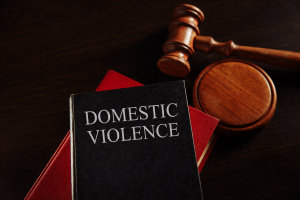 Understanding domestic violence crimes