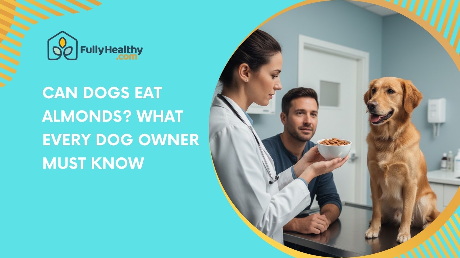 Can Dogs Eat Almonds? What Every Dog Owner Must Know