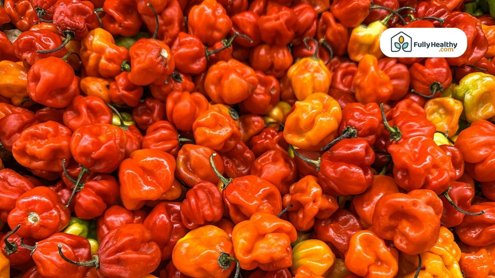Fresh red and orange habanero peppers stacked close together