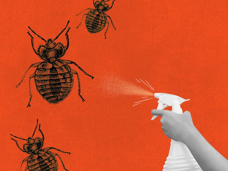 Unmasking Bed Bug Repellents: Do They Actually Work?