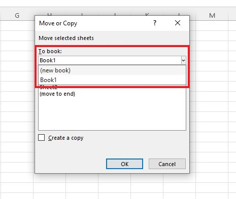 To input a copy into a new Excel workbook, choose New Book.