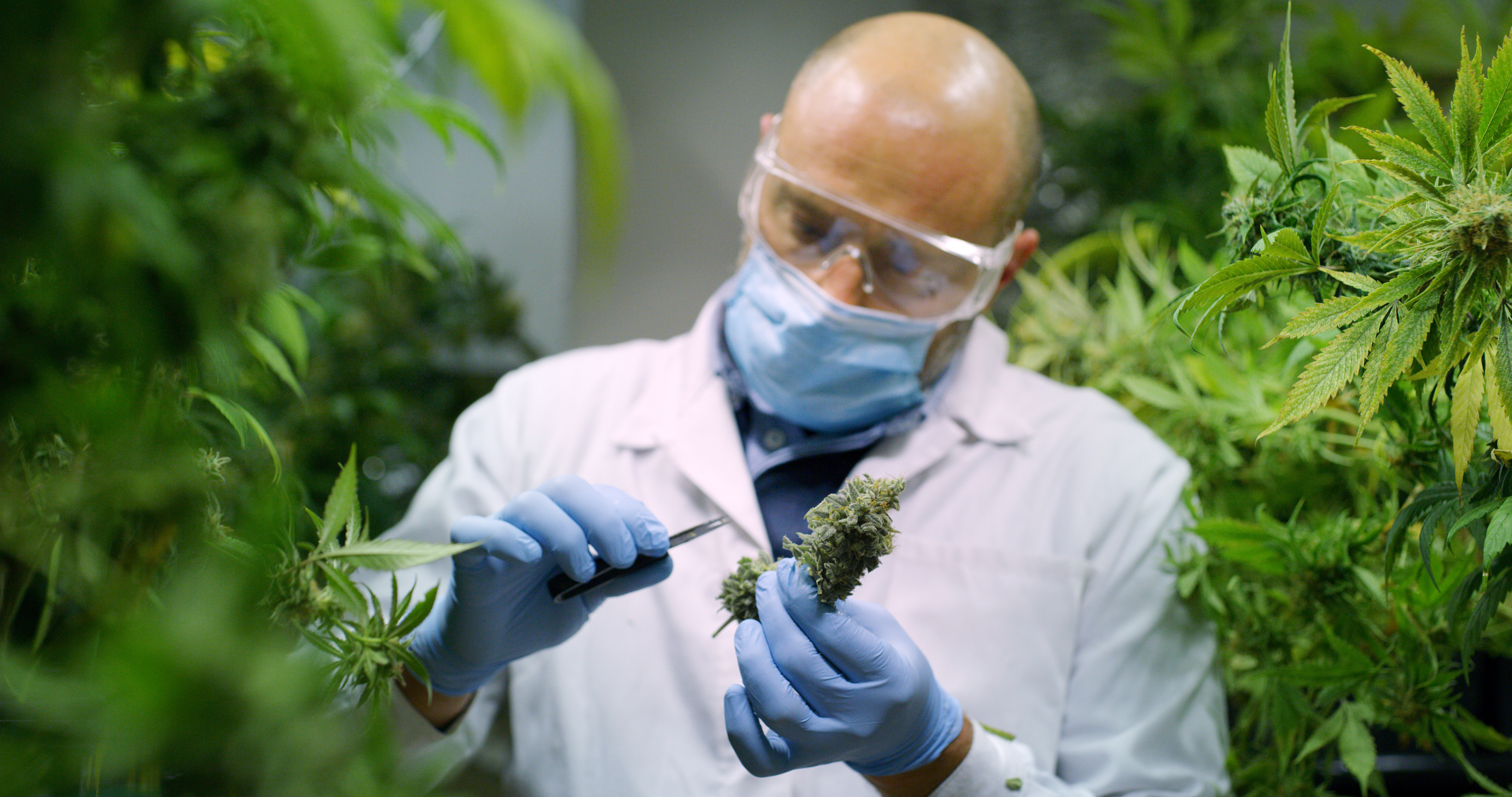 All our products, including our Delta 9 gummies get tested in-house. Those same products like Delta 9 gummies and other Delta 9 products then go to a third party lab for testing.