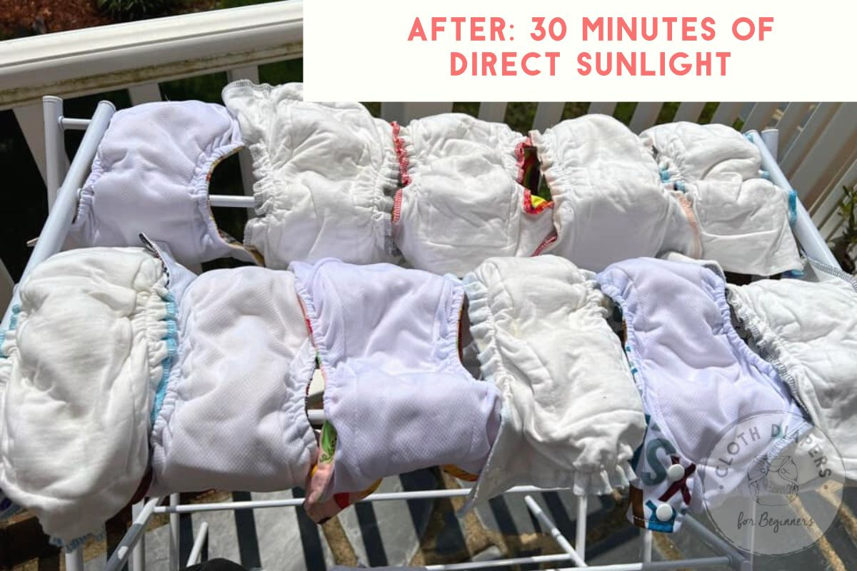 Exclusively Breast Fed (EBF) Poop Stains After 30 Min. of Sunning Stain Removal.